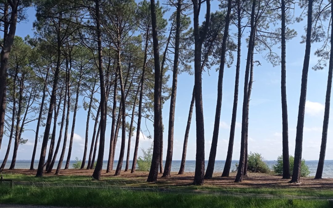 Quoi faire en séjour Groupe au bord du lac de Biscarrosse ?